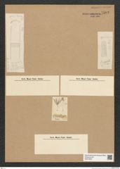 Diatomeae indet. Zeichnungen Sammlung Grunow Nr. 5502 (NHMW-BOT-W0373942)